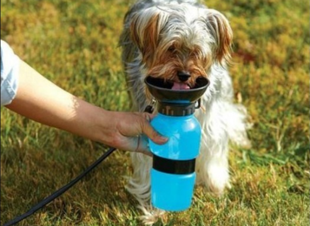 Garrafa Bebedouro Portátil Água Dog Garrafa Pet Cães Gatos Viagem - BellyShop