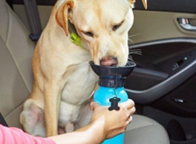 Garrafa Bebedouro Portátil Água Dog Garrafa Pet Cães Gatos Viagem - BellyShop