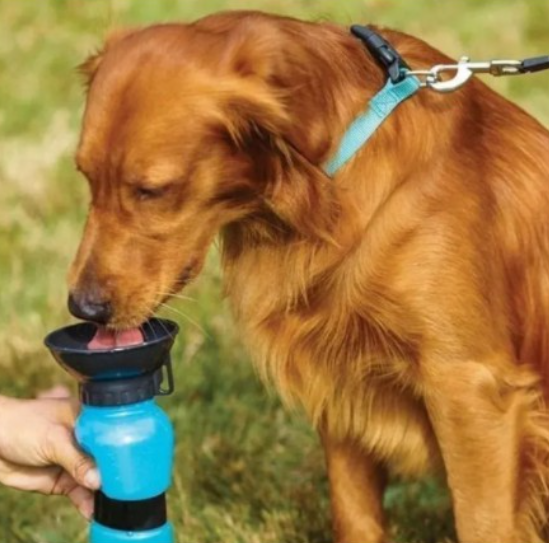 Garrafa Bebedouro Portátil Água Dog Garrafa Pet Cães Gatos Viagem - BellyShop